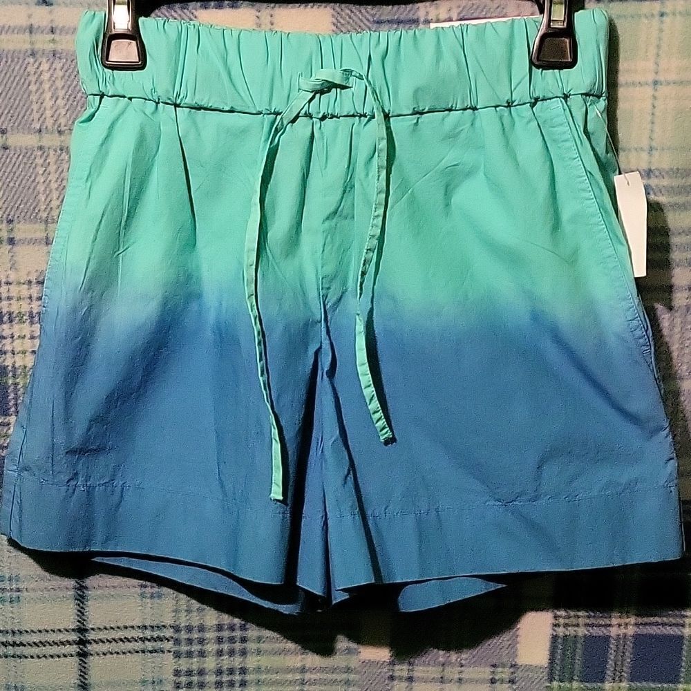 Aqua and Teal Ombre High Waist Women's Shorts
